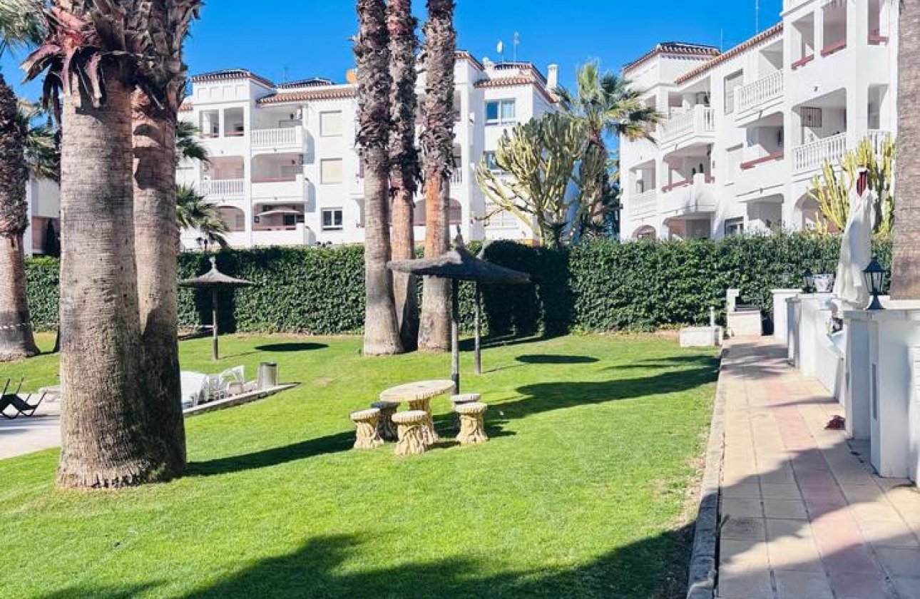 Reventa - Apartamento / piso -
Orihuela - Orihuela Costa