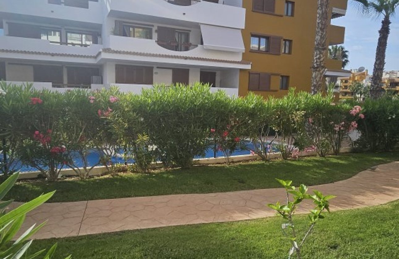 Reventa - Apartamento / piso -
Punta Prima - La Entrada