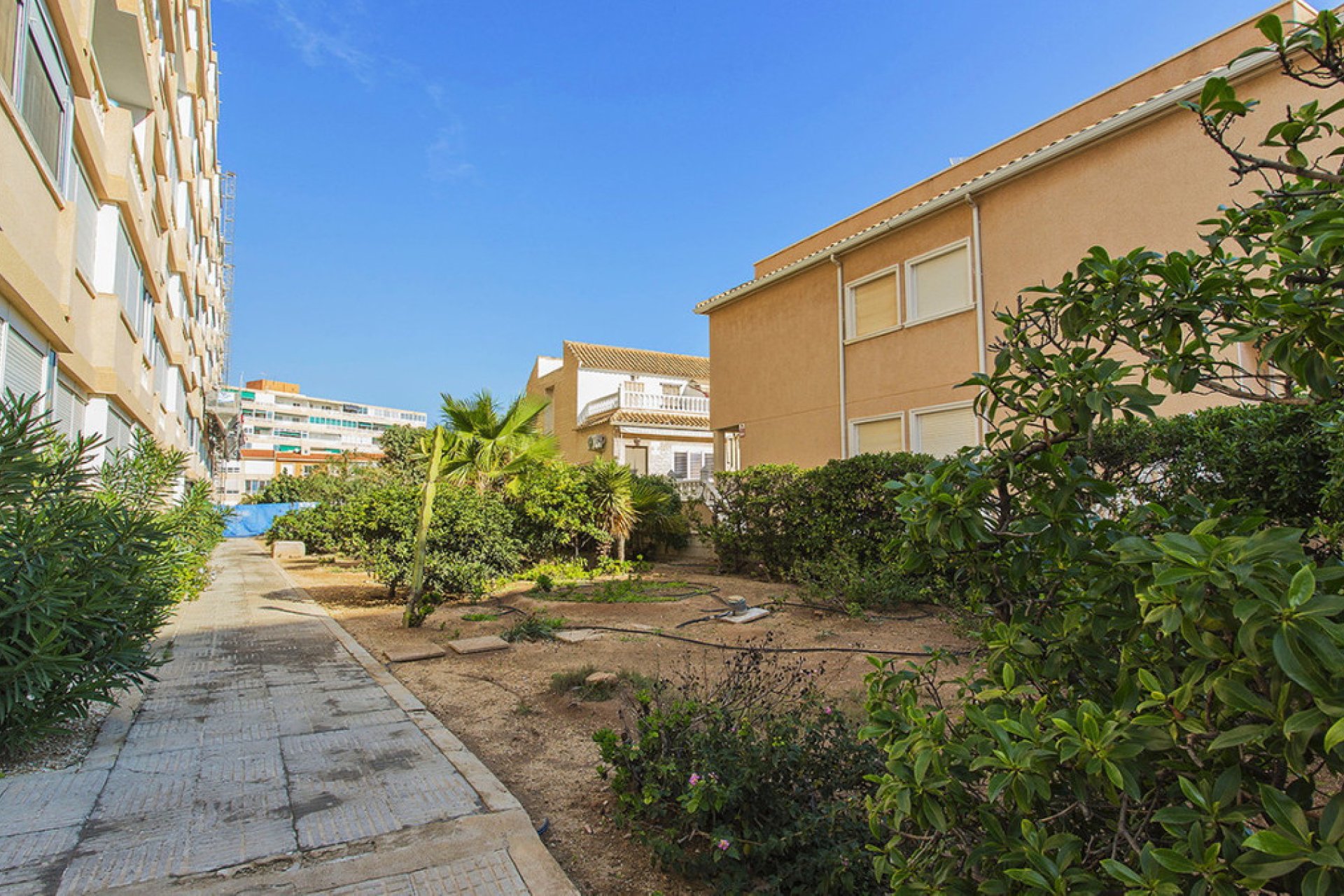 Reventa - Apartamento / piso -
Torrevieja - La Mata