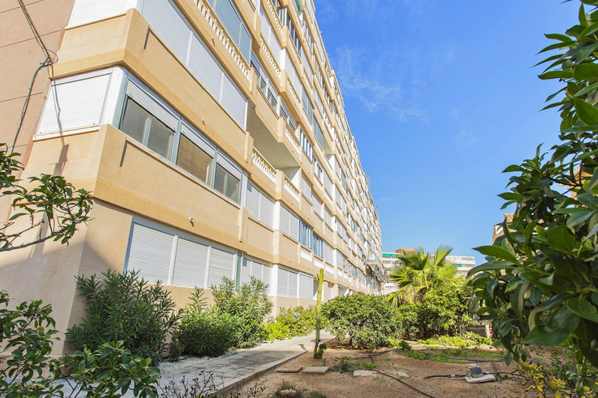 Reventa - Apartamento / piso -
Torrevieja - La Mata