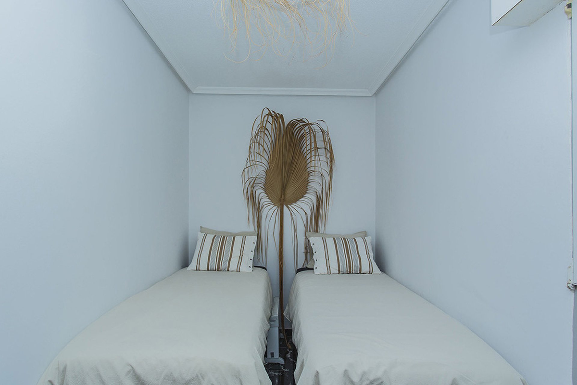 Reventa - Apartamento / piso -
Torrevieja - La Mata