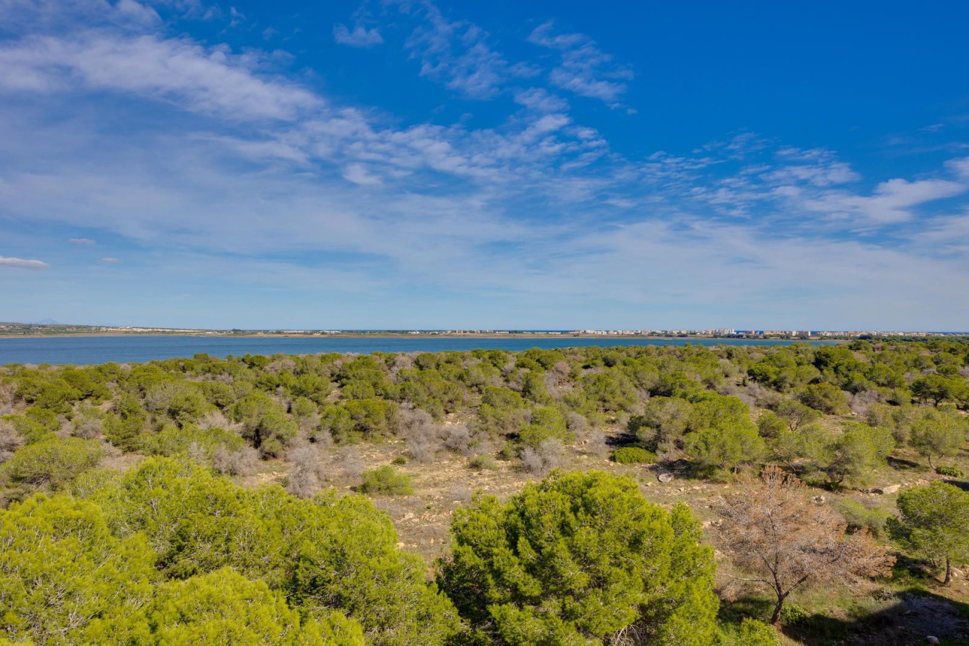 Reventa - Apartamento / piso -
Torrevieja - San Luis