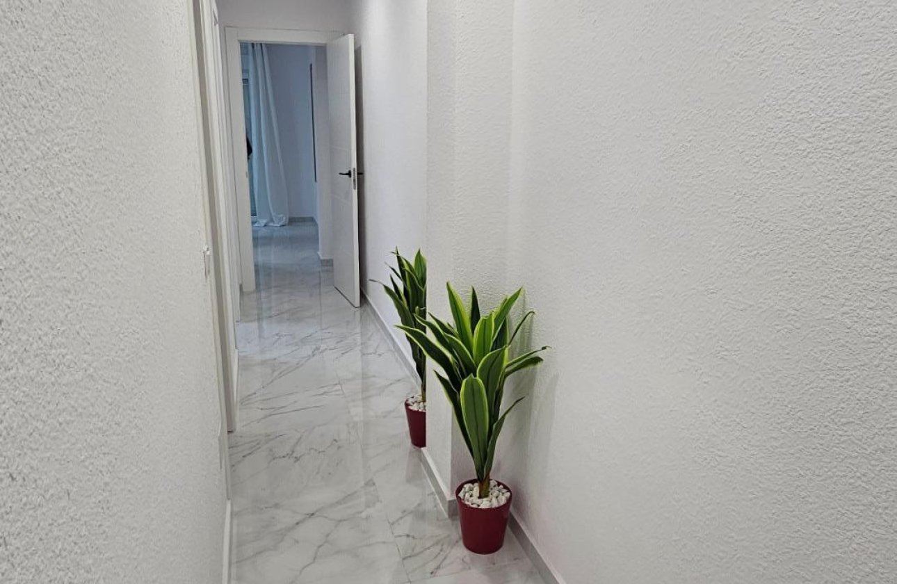 Reventa - Apartamento / piso -
Torrevieja - Torrevieja Centro