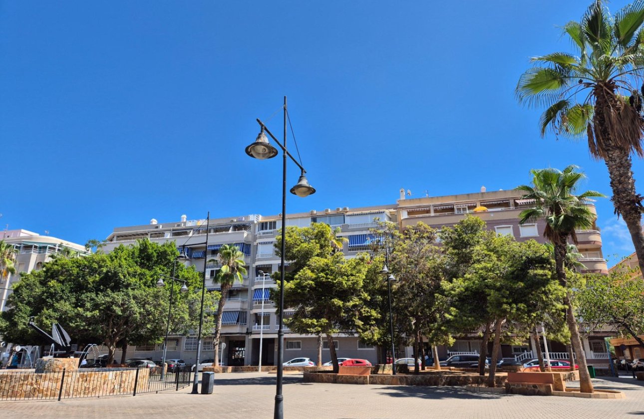 Reventa - Apartamento / piso -
Torrevieja - Torrevieja Centro