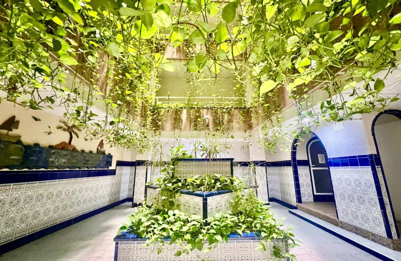 Reventa - Apartamento / piso -
Torrevieja - Torrevieja Centro