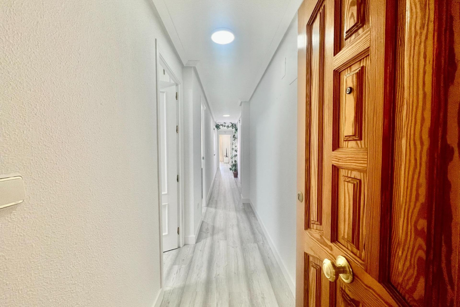 Reventa - Apartamento / piso -
Torrevieja - Torrevieja Centro