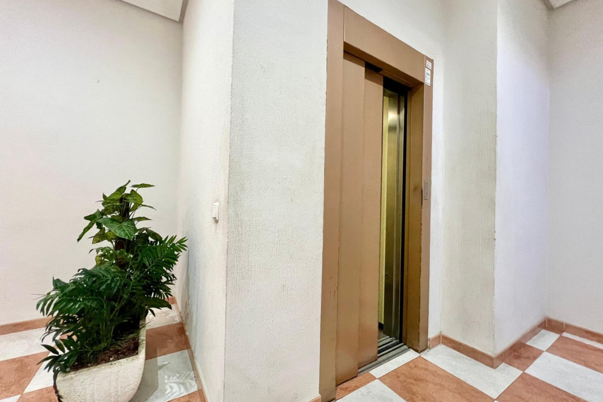 Reventa - Apartamento / piso -
Torrevieja - Torrevieja Centro