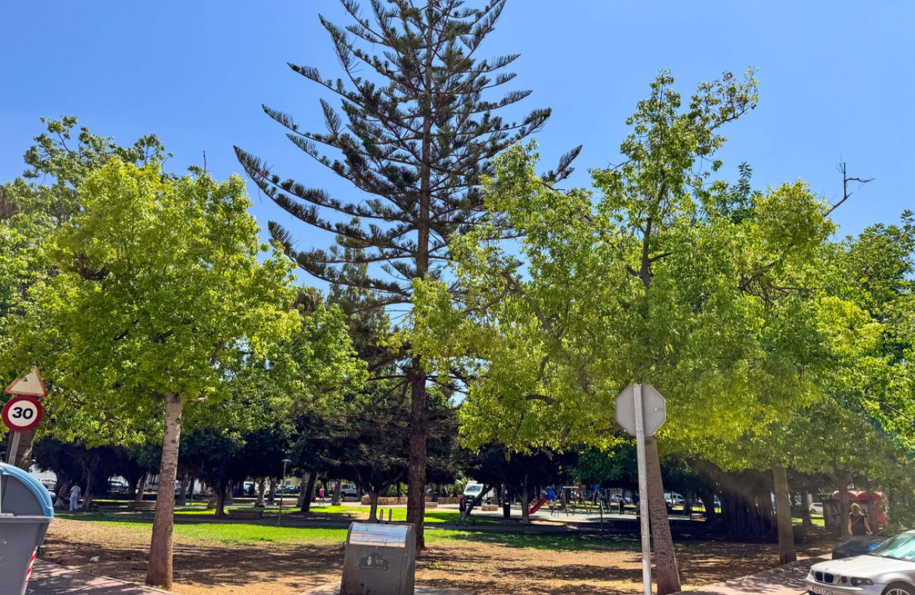 Reventa - Apartamento / piso -
Torrevieja - Torrevieja Centro