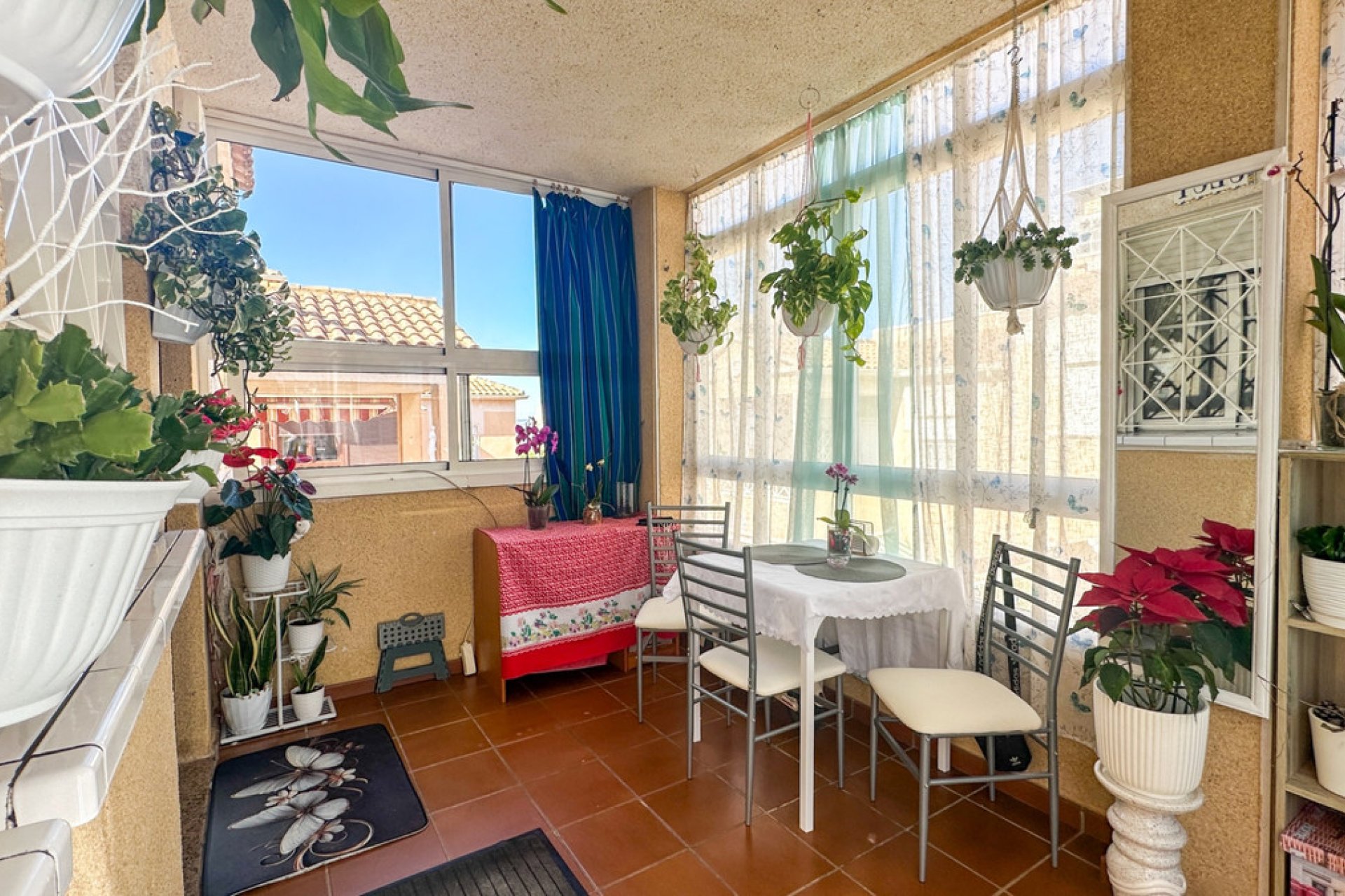 Reventa - Apartamento / piso -
Torrevieja - Torrevieja Centro