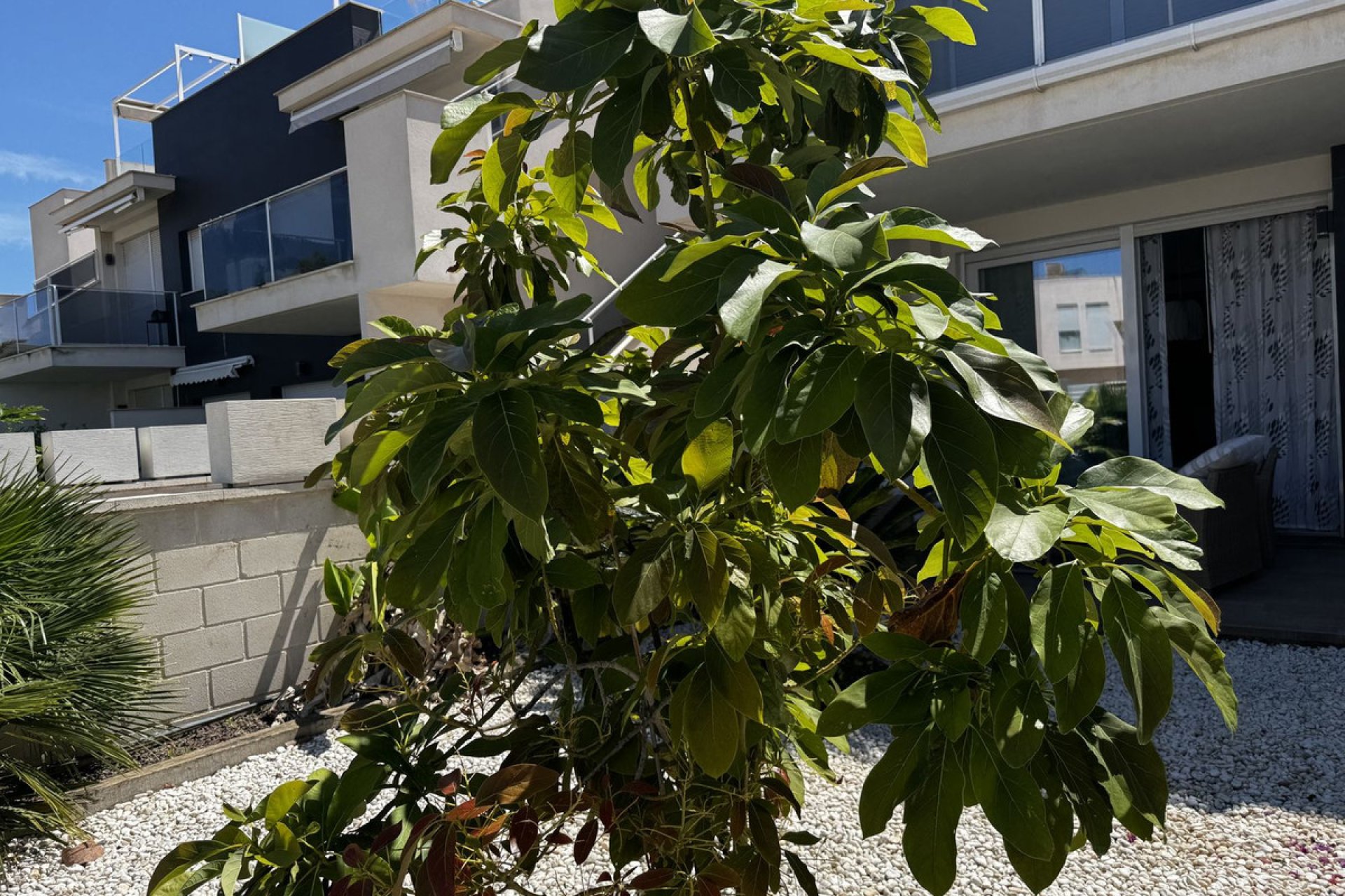 Reventa - Apartamento / piso -
Torrevieja - Torrevieja Centro