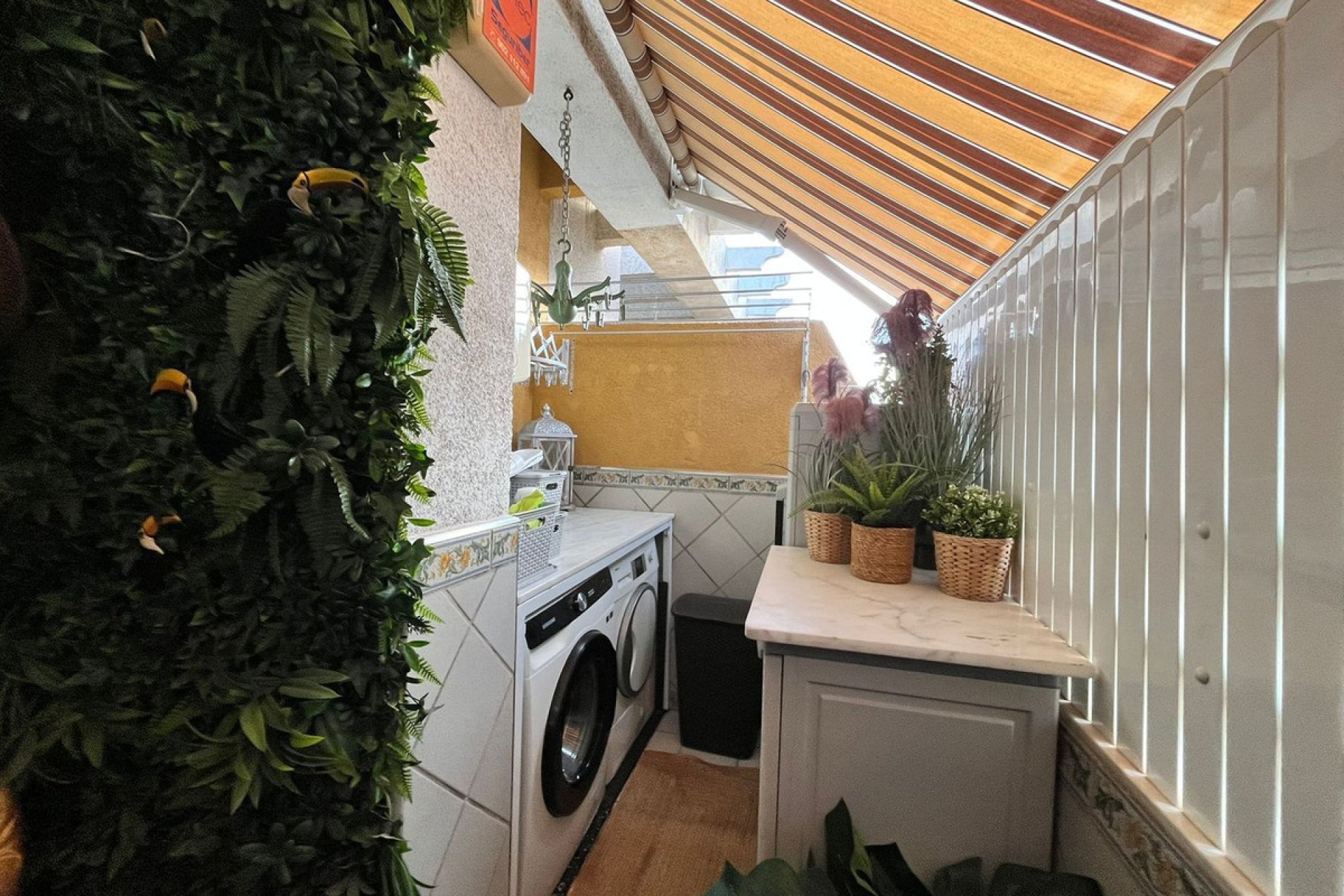 Reventa - Apartamento / piso -
Torrevieja - Torrevieja Centro