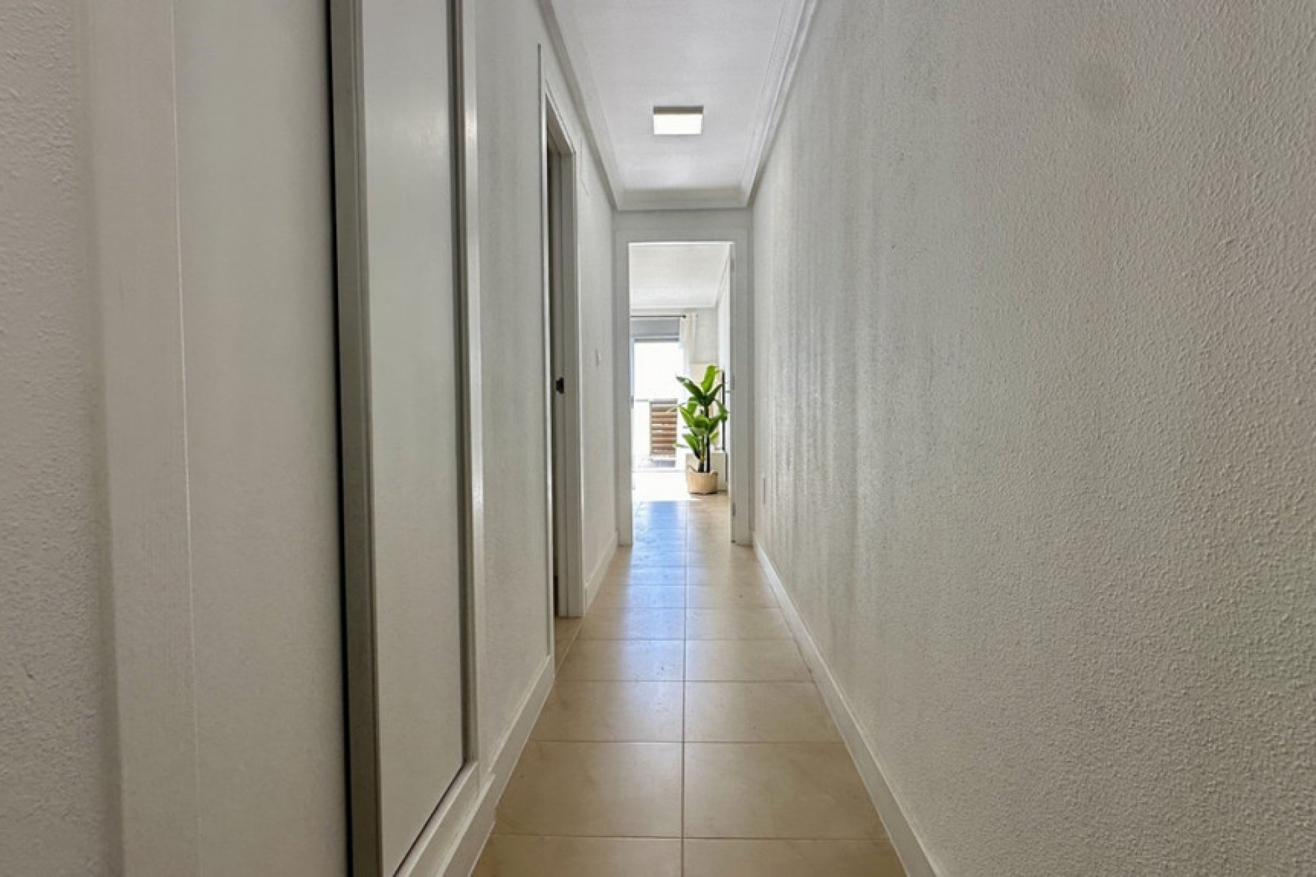 Reventa - Apartamento / piso -
Torrevieja - Torrevieja Centro