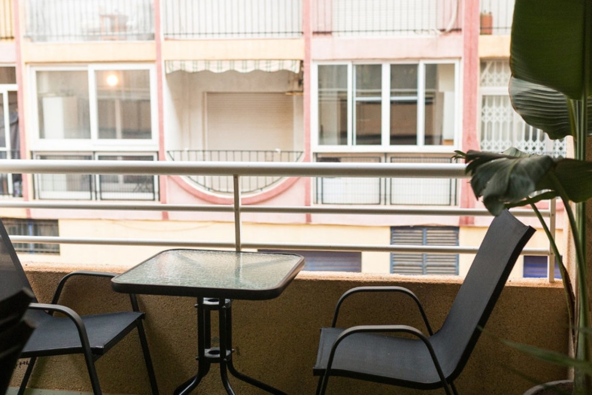 Reventa - Apartamento / piso -
Torrevieja - Torrevieja Centro