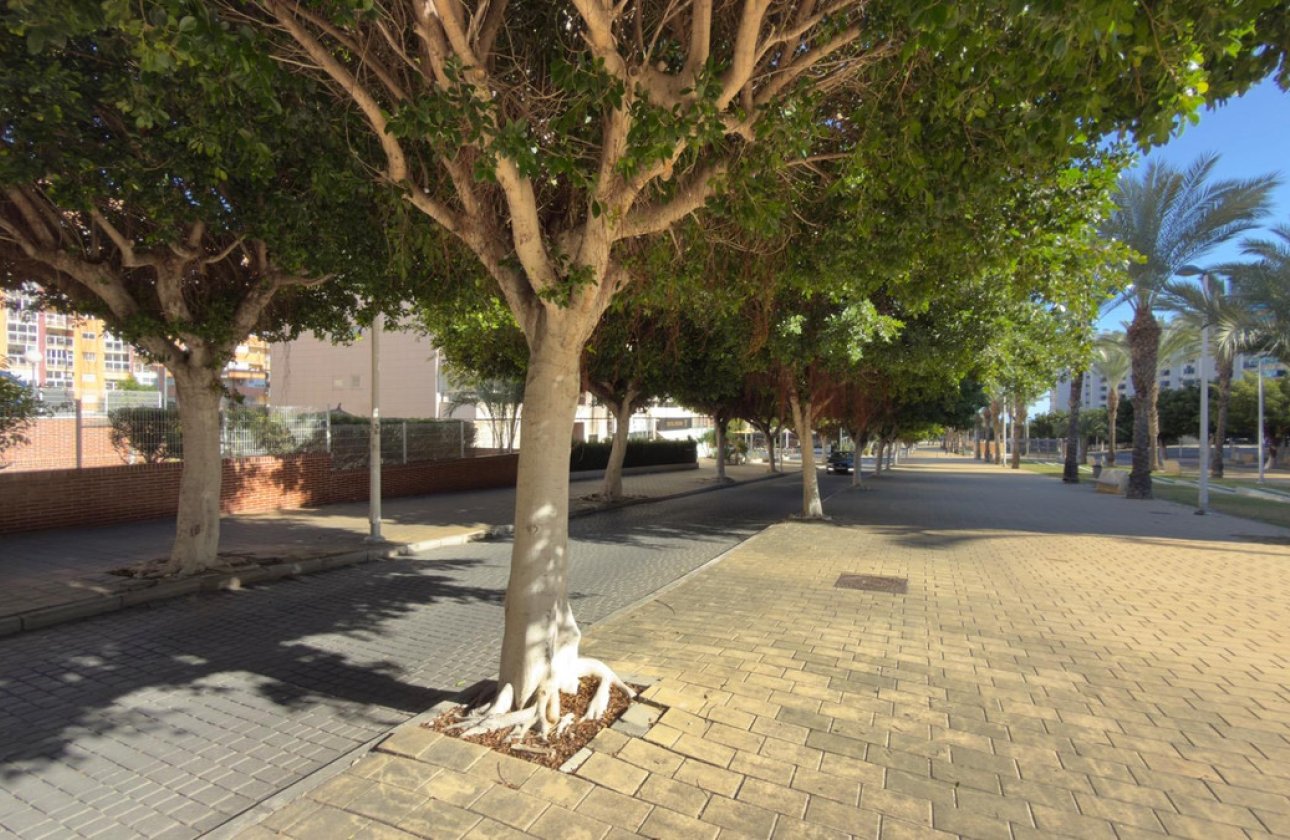 Reventa - Apartamento / piso -
Villajoyosa - Villajoyosa Centro