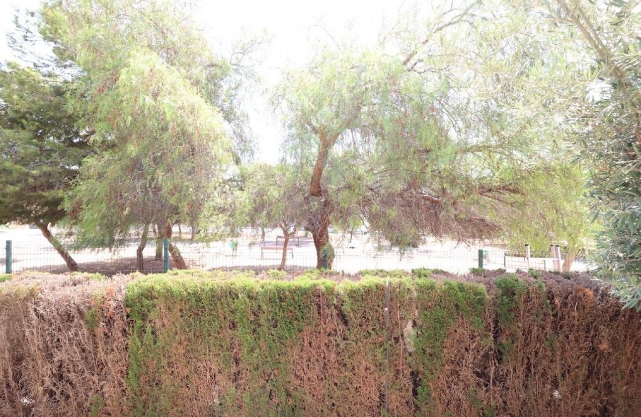 Reventa - Bungalow -
Orihuela Costa - Punta Prima