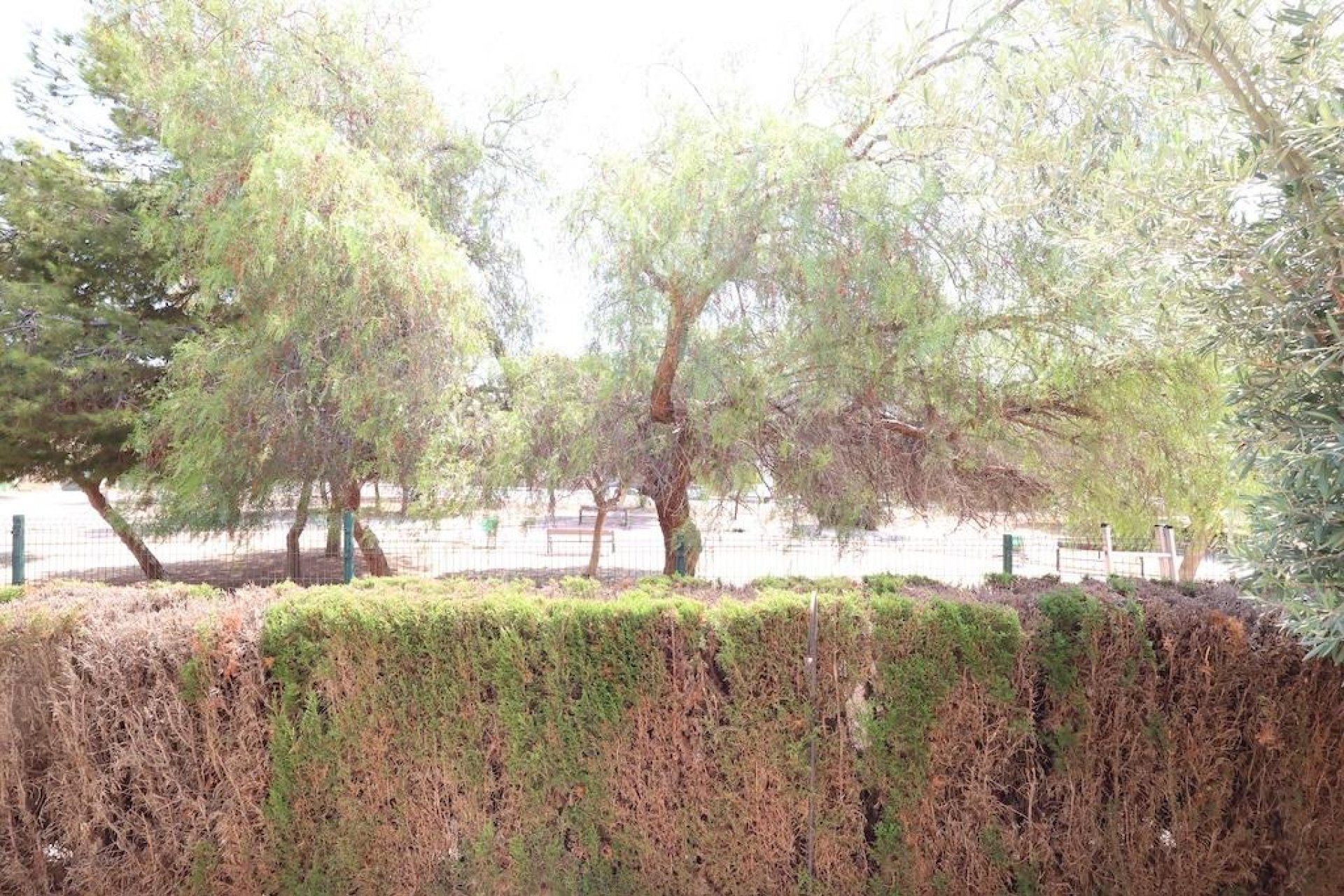 Reventa - Bungalow -
Orihuela Costa - Punta Prima