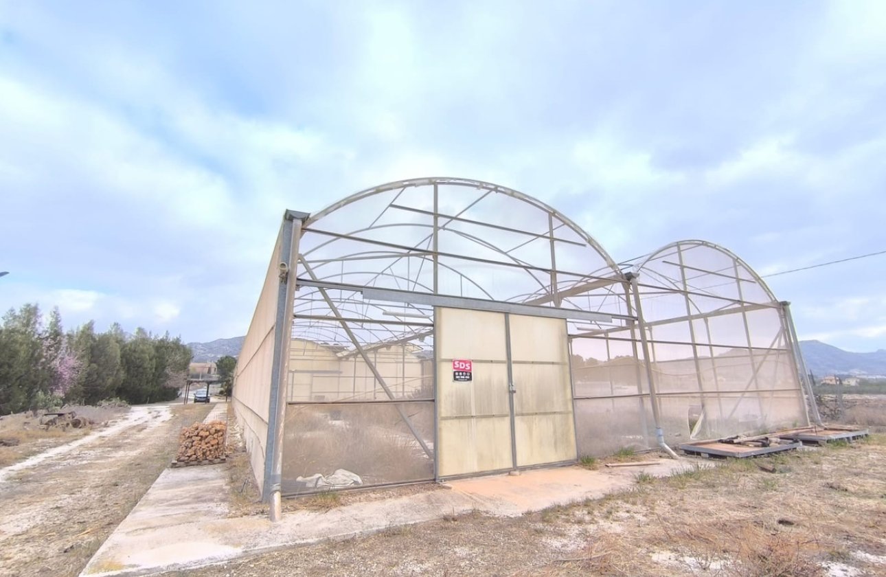 Reventa - Commercial property -
Aspe - Aspe Centro