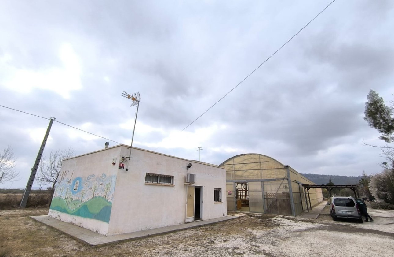 Reventa - Commercial property -
Aspe - Aspe Centro