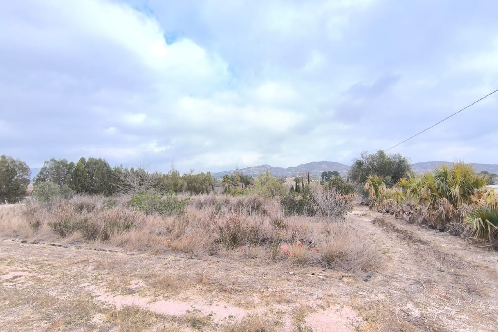 Reventa - Commercial property -
Aspe - Aspe Centro