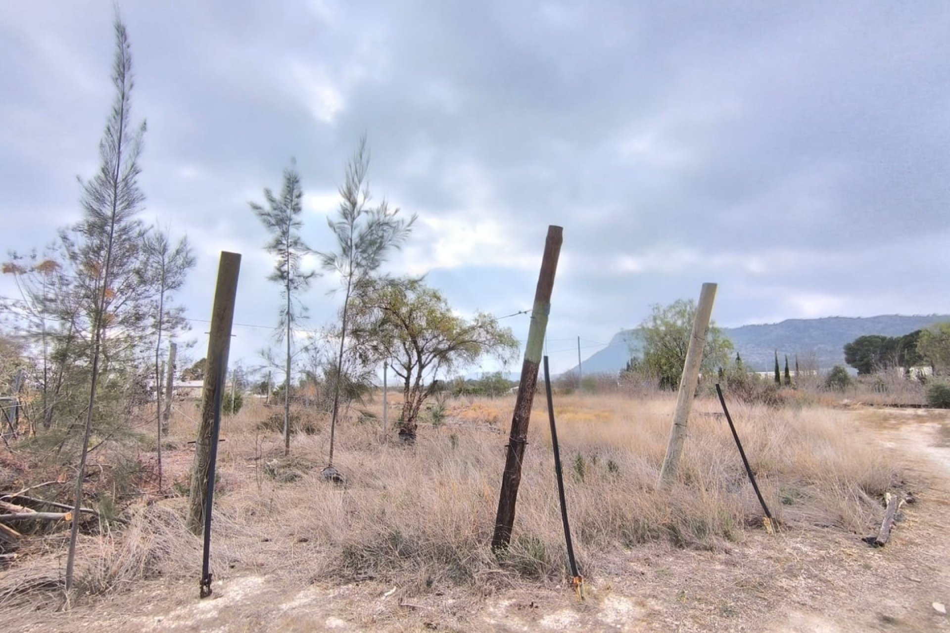 Reventa - Commercial property -
Aspe - Aspe Centro