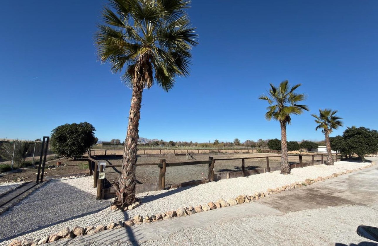 Reventa - country house -
Algorfa - Algorfa Centro