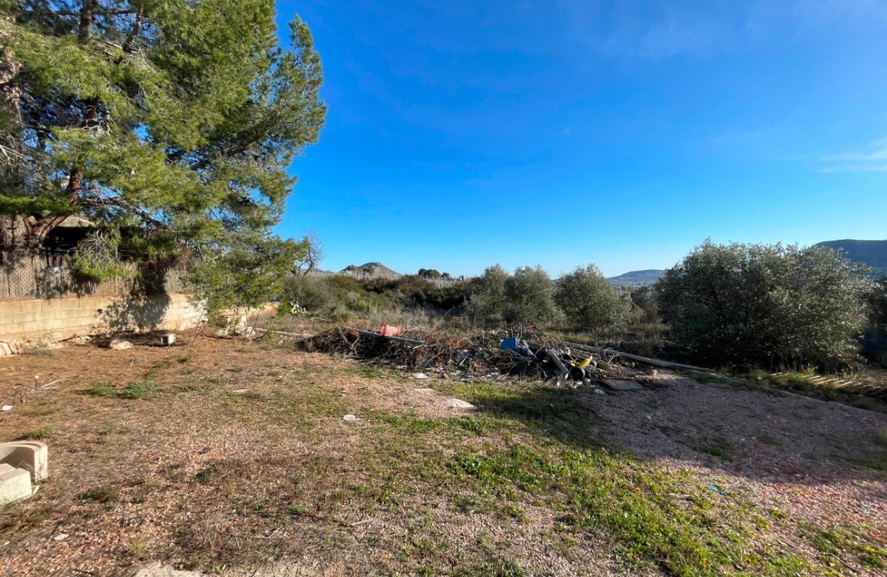 Reventa - country house -
Aspe - Aspe Centro