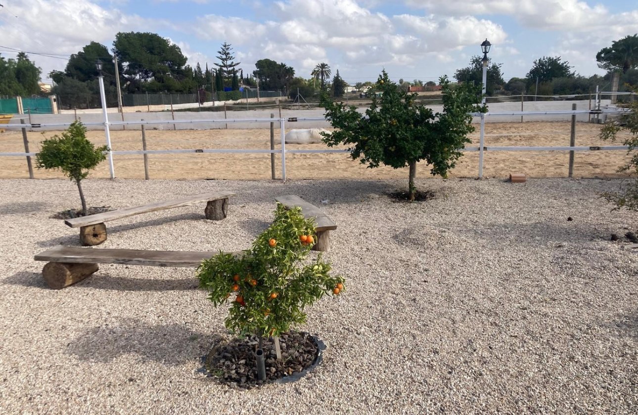 Reventa - country house -
Crevillente - Crevillent - Crevillente - Crevillent Centro