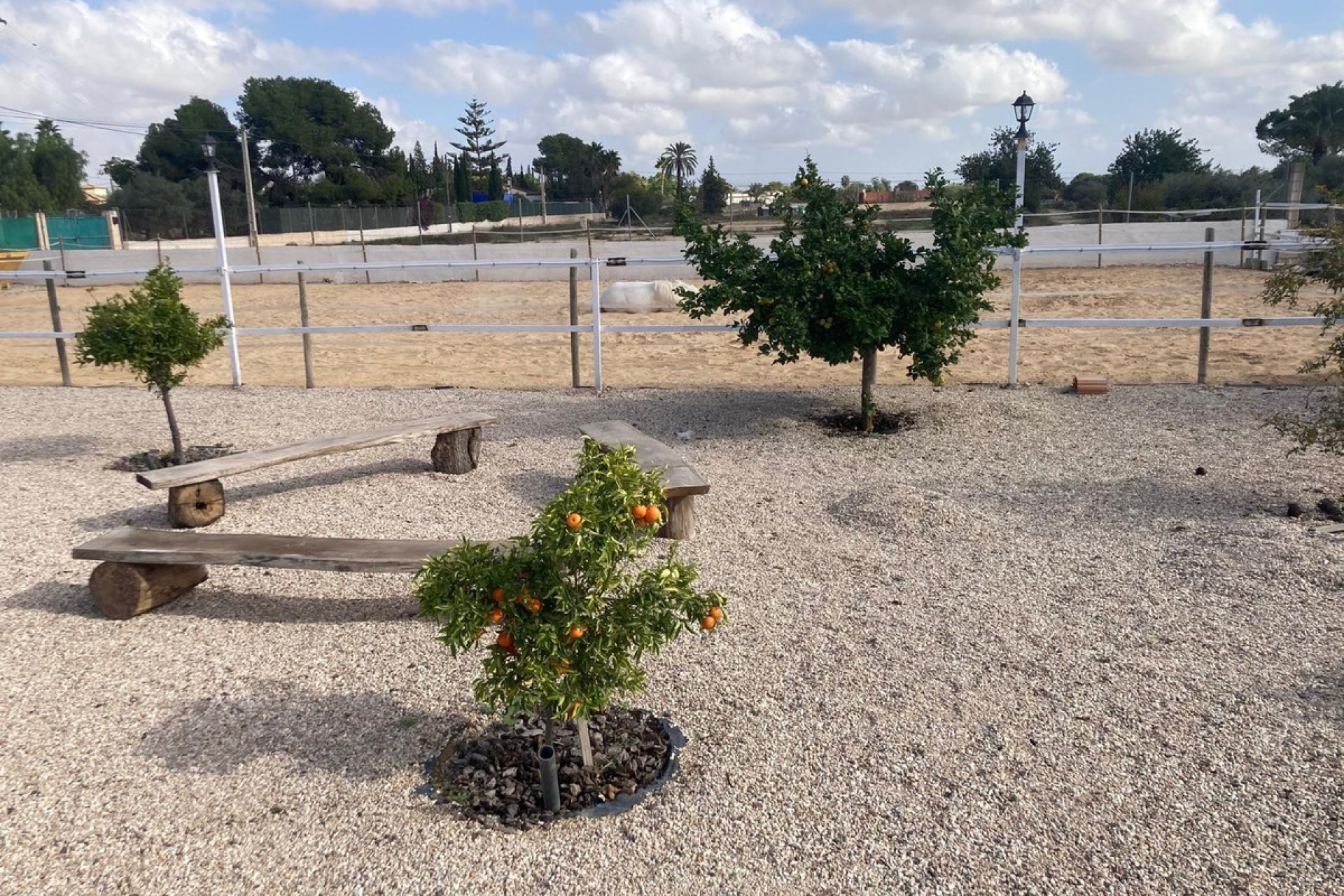 Reventa - country house -
Crevillente - Crevillent - Crevillente - Crevillent Centro