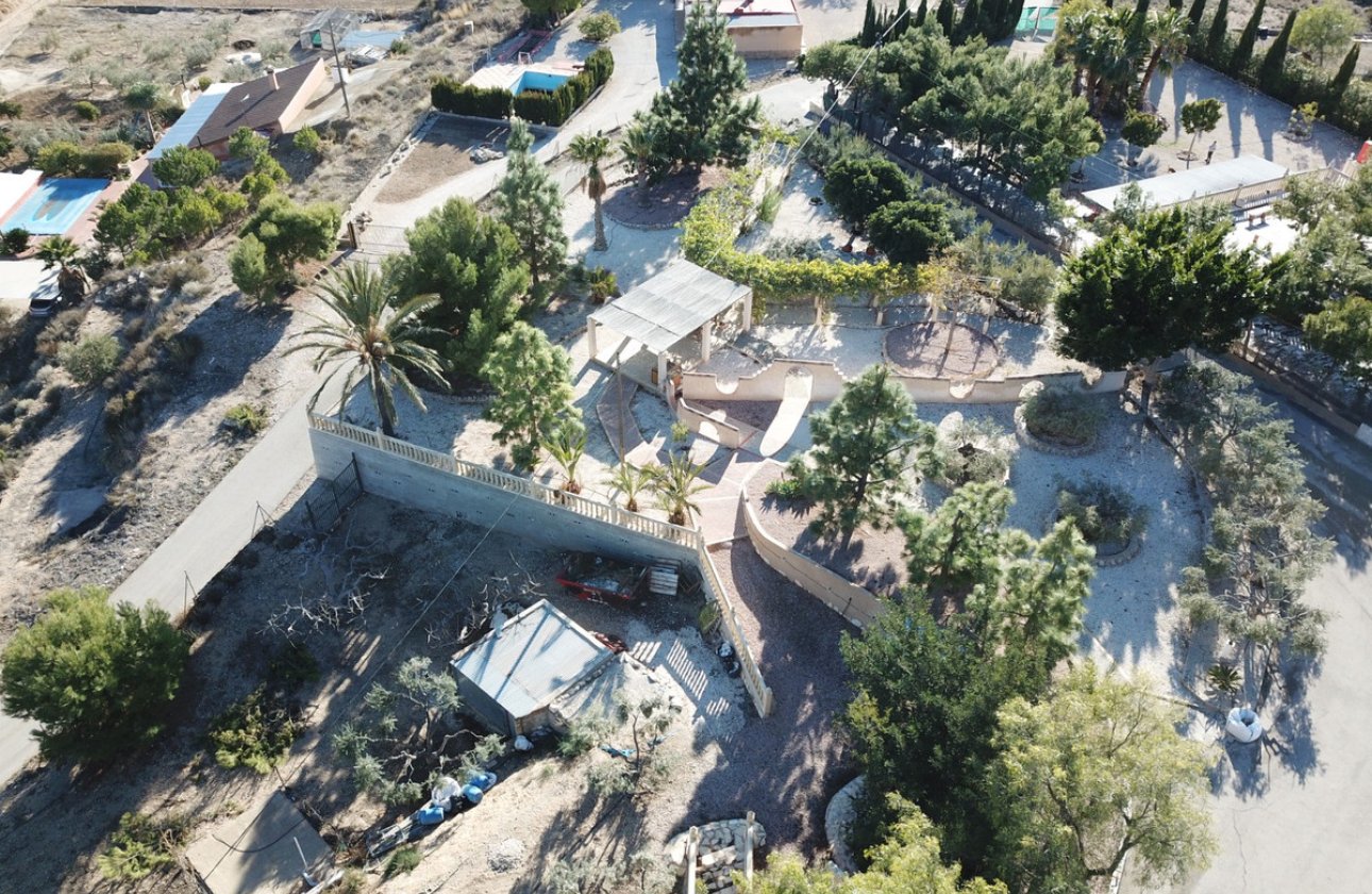 Reventa - country house -
Crevillente - Crevillent - Crevillente - Crevillent Centro