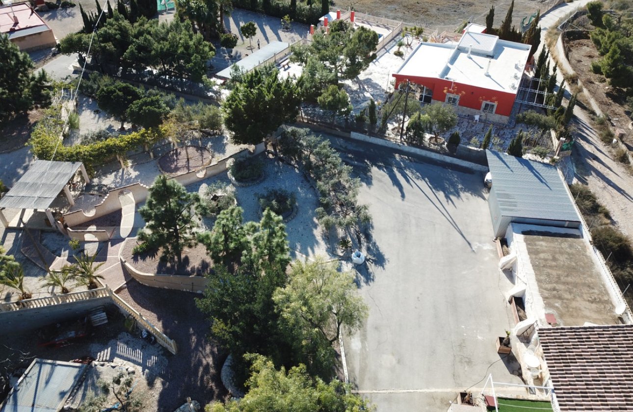 Reventa - country house -
Crevillente - Crevillent - Crevillente - Crevillent Centro