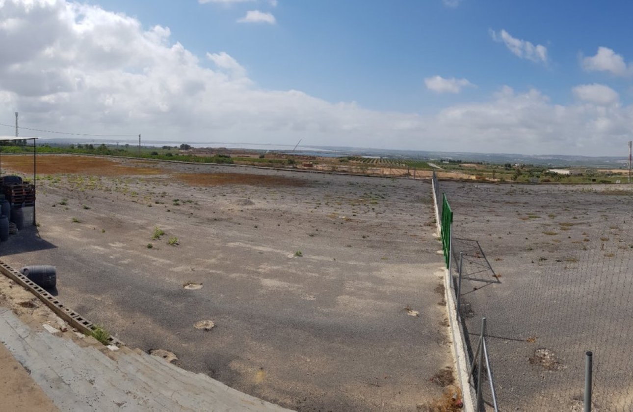 Reventa - country house -
Los Montesinos - Los Montesinos Centro