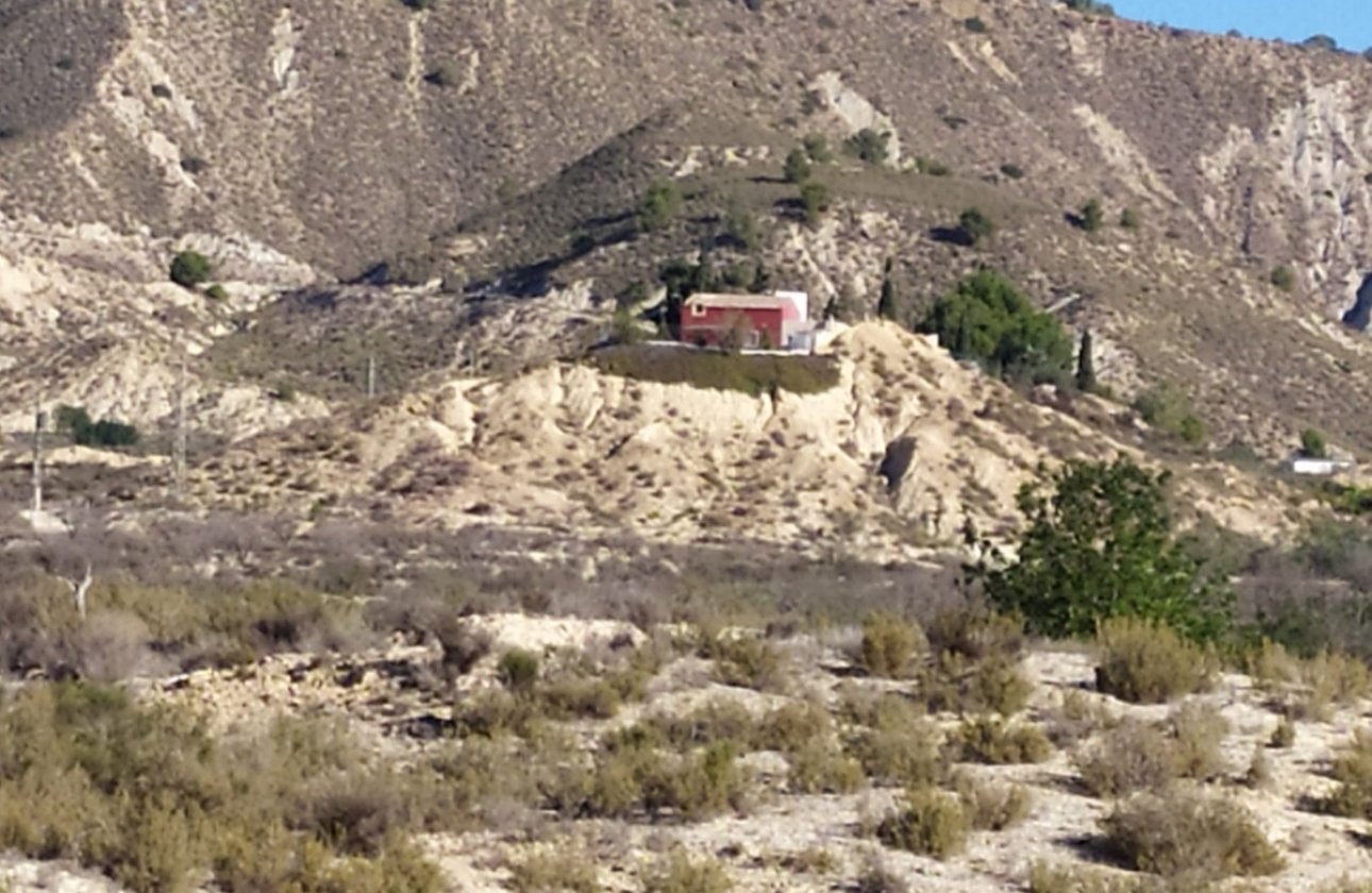 Reventa - country house -
Orihuela - Orihuela Centro