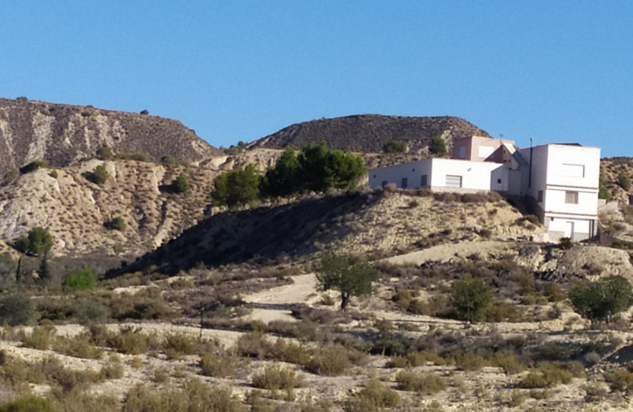 Reventa - country house -
Orihuela - Orihuela Centro