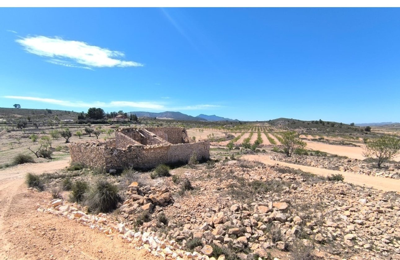 Reventa - country house -
Pinoso - Pinoso Centro