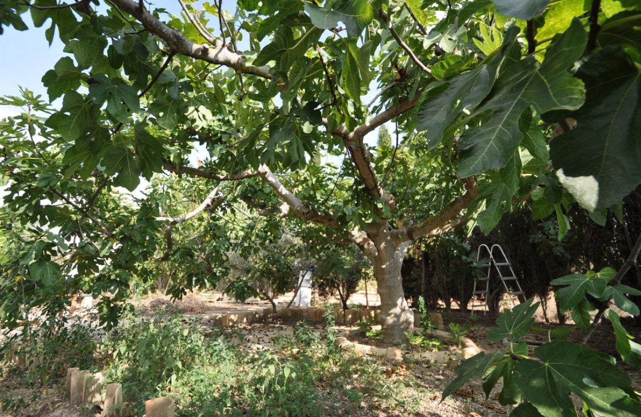 Reventa - country house -
Pinoso - Pinoso Centro