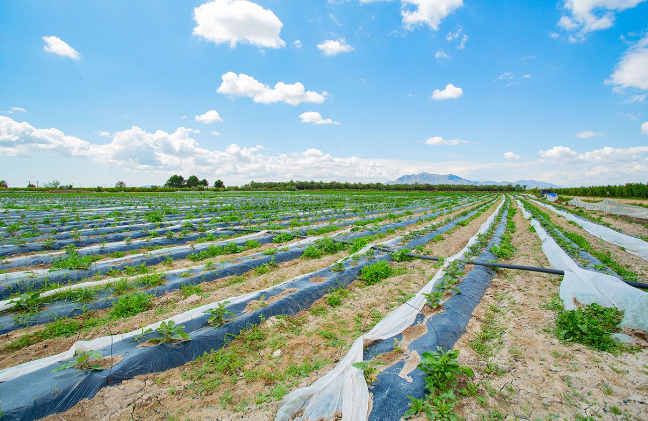 Reventa - country house -
San Isidro - San Isidro Centro