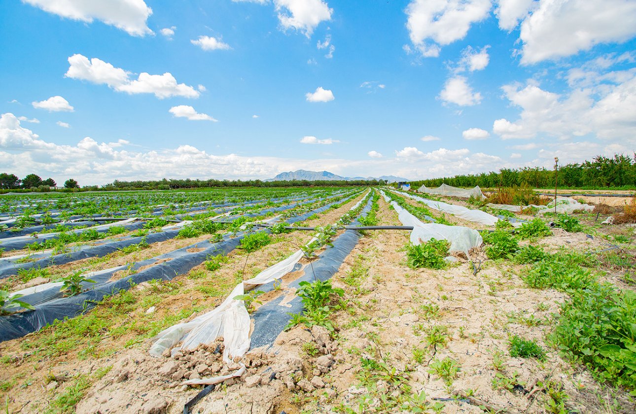 Reventa - country house -
San Isidro - San Isidro Centro