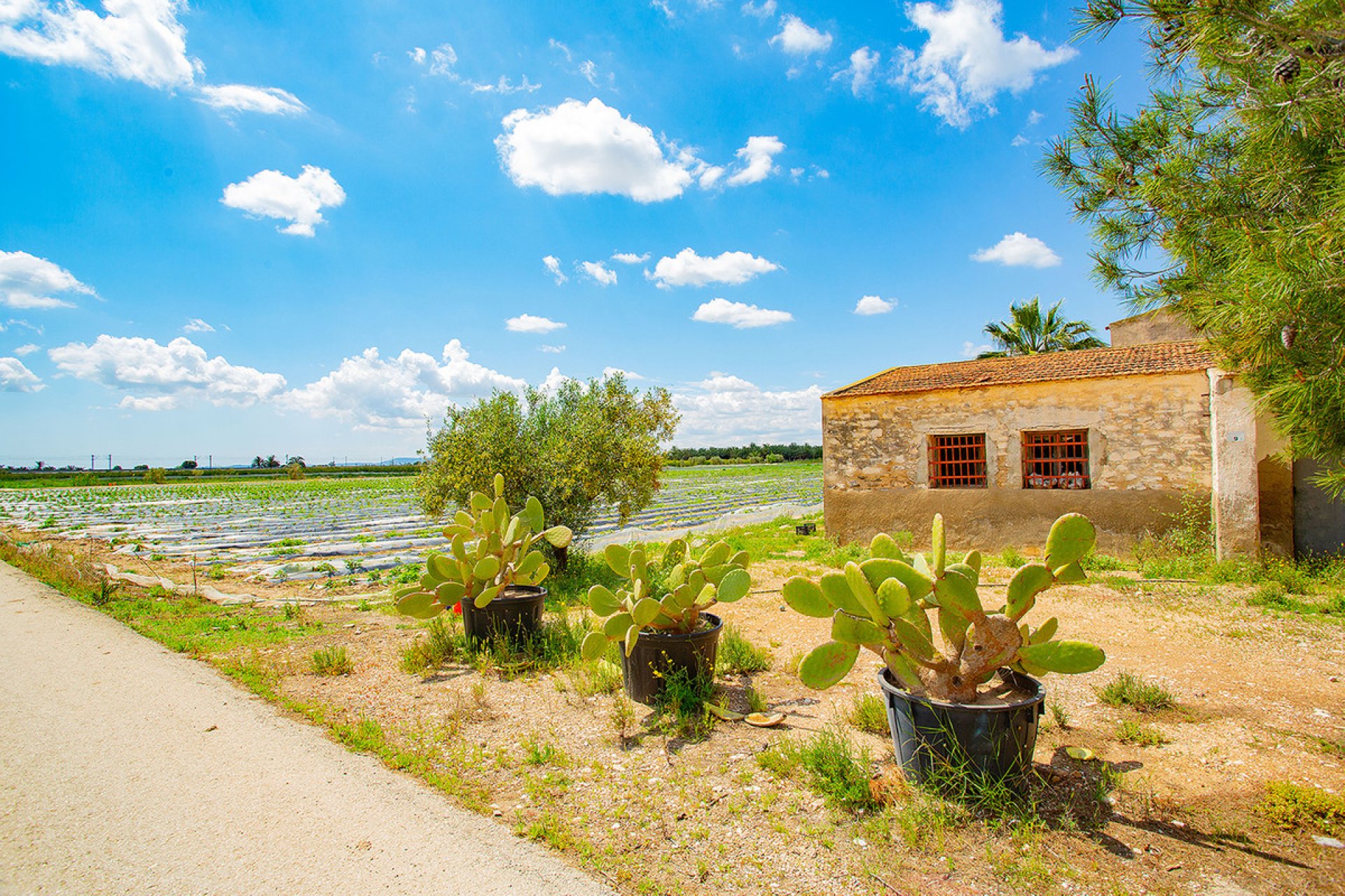 Reventa - country house -
San Isidro - San Isidro Centro