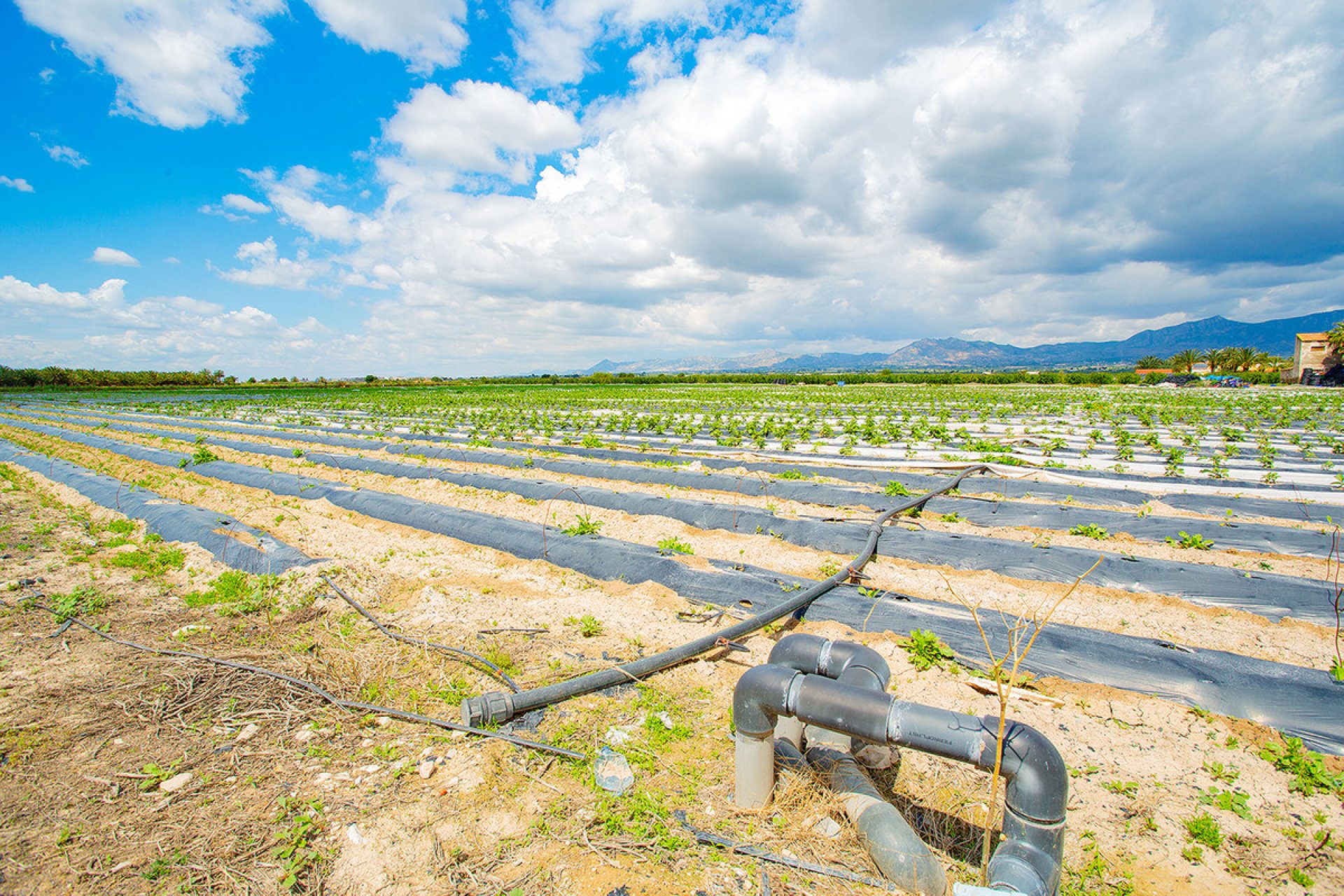 Reventa - country house -
San Isidro - San Isidro Centro