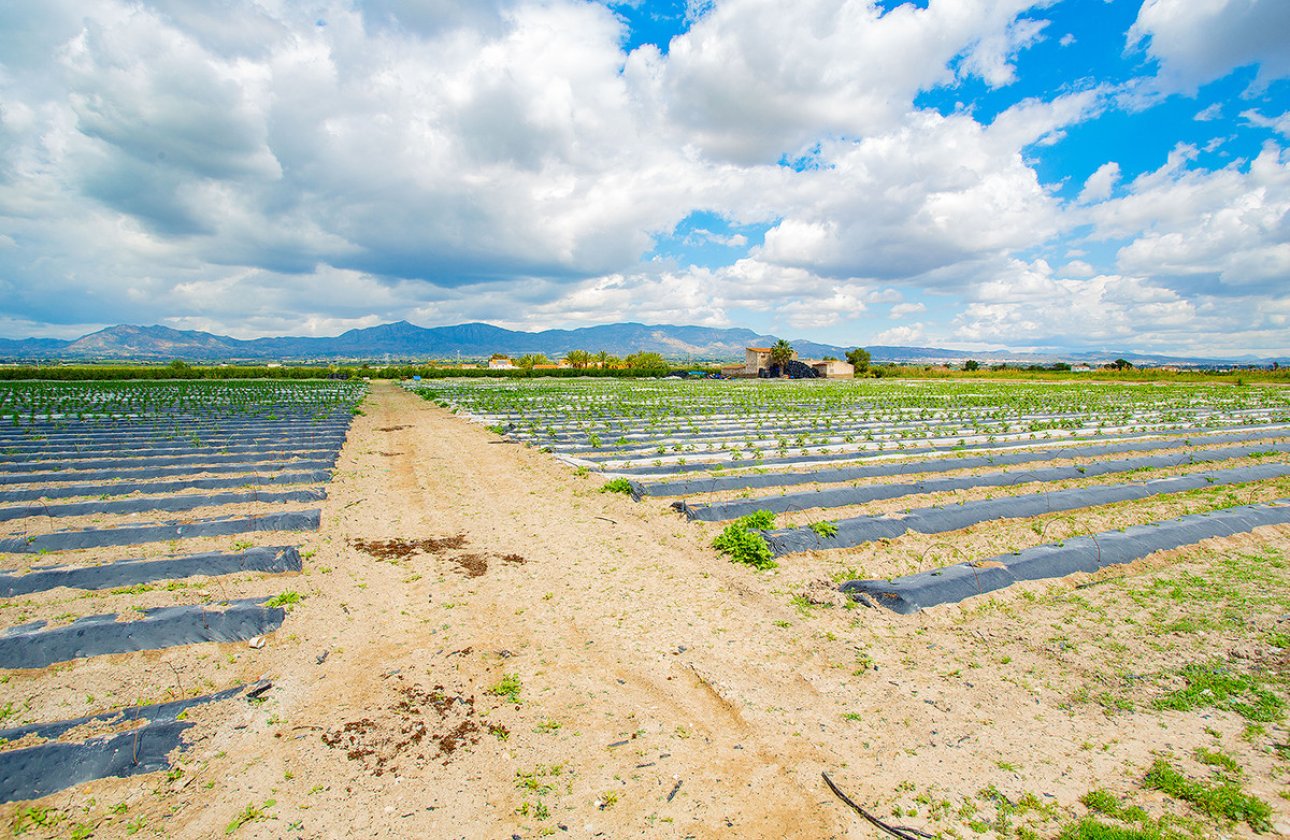 Reventa - country house -
San Isidro - San Isidro Centro