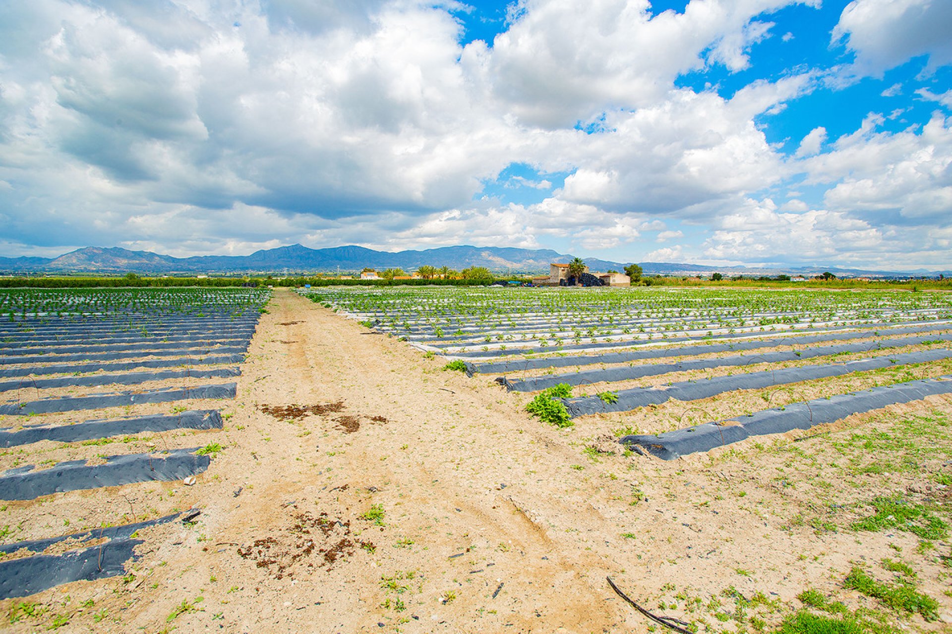 Reventa - country house -
San Isidro - San Isidro Centro