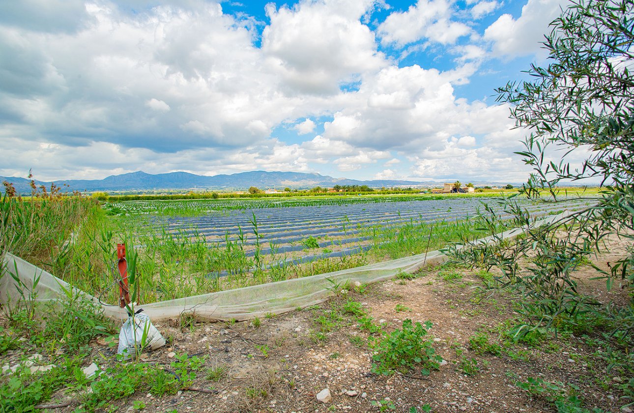 Reventa - country house -
San Isidro - San Isidro Centro