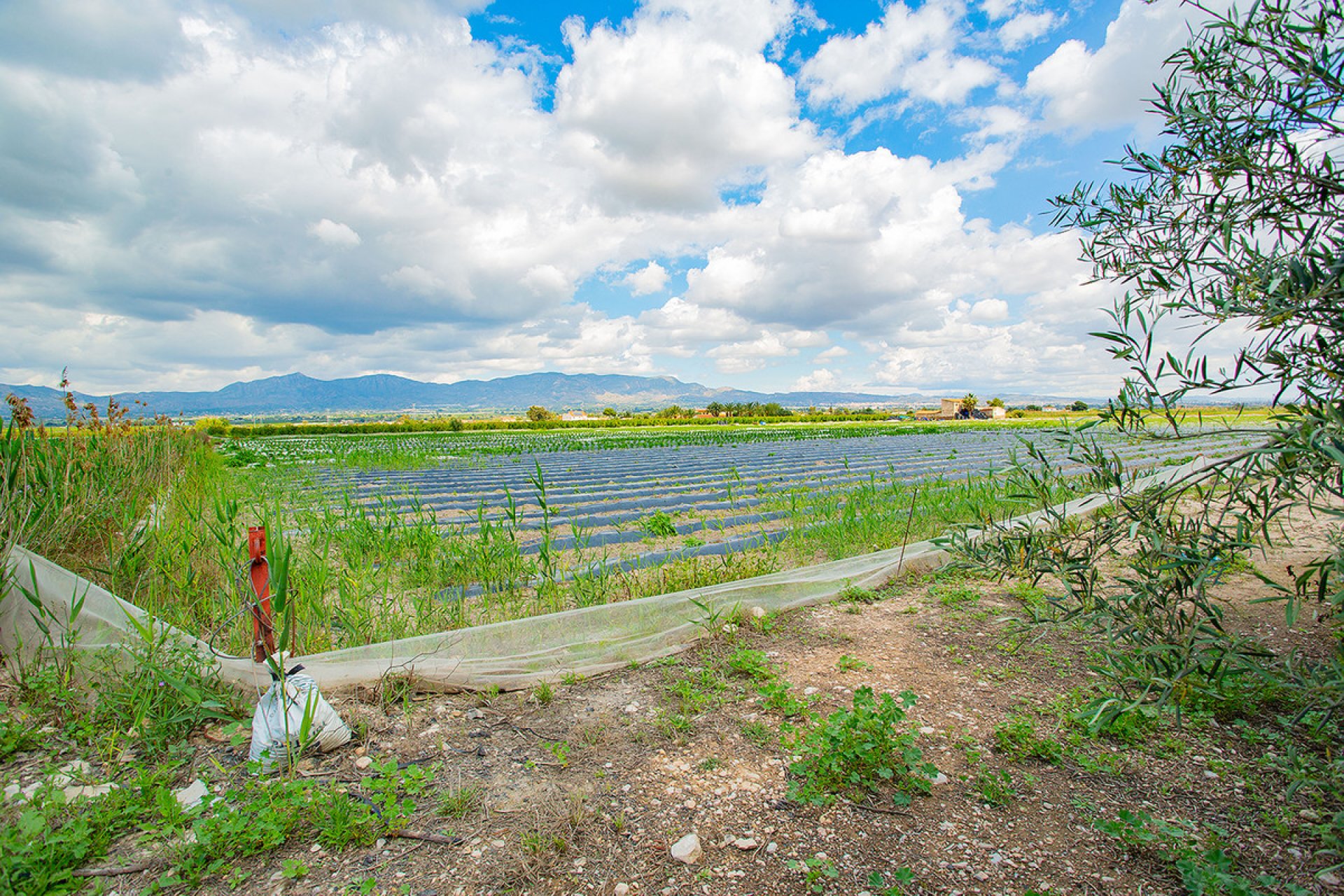 Reventa - country house -
San Isidro - San Isidro Centro