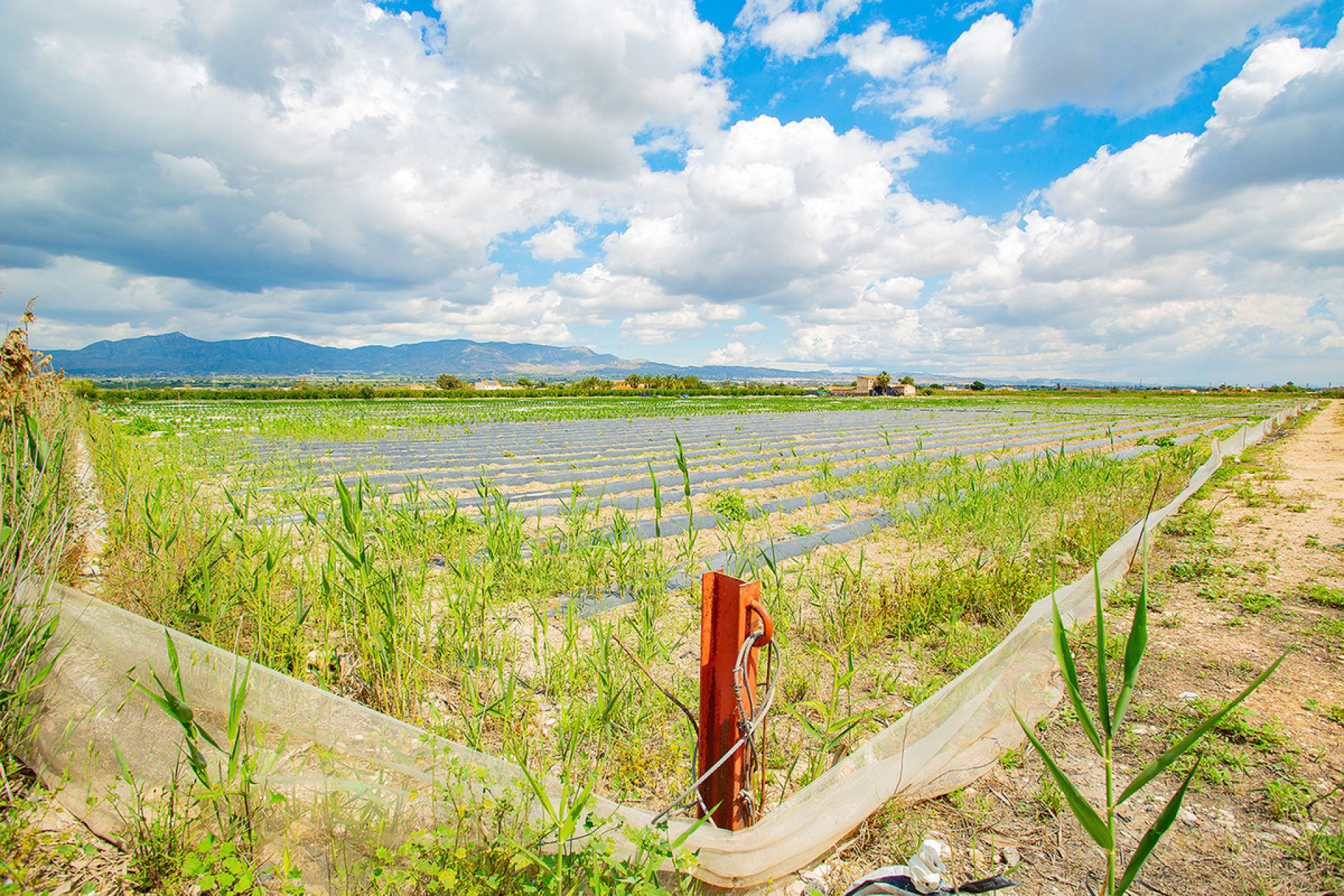 Reventa - country house -
San Isidro - San Isidro Centro