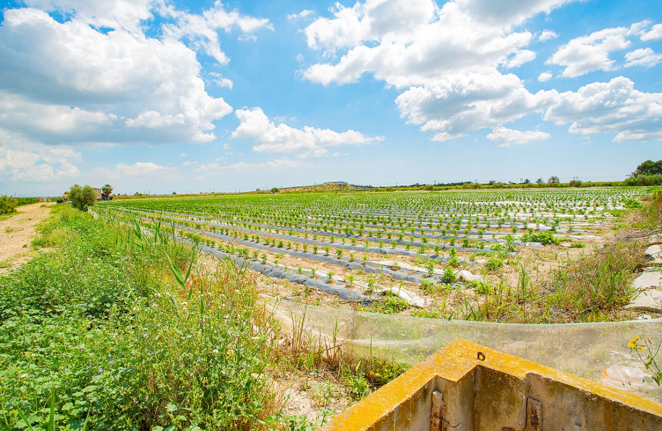 Reventa - country house -
San Isidro - San Isidro Centro