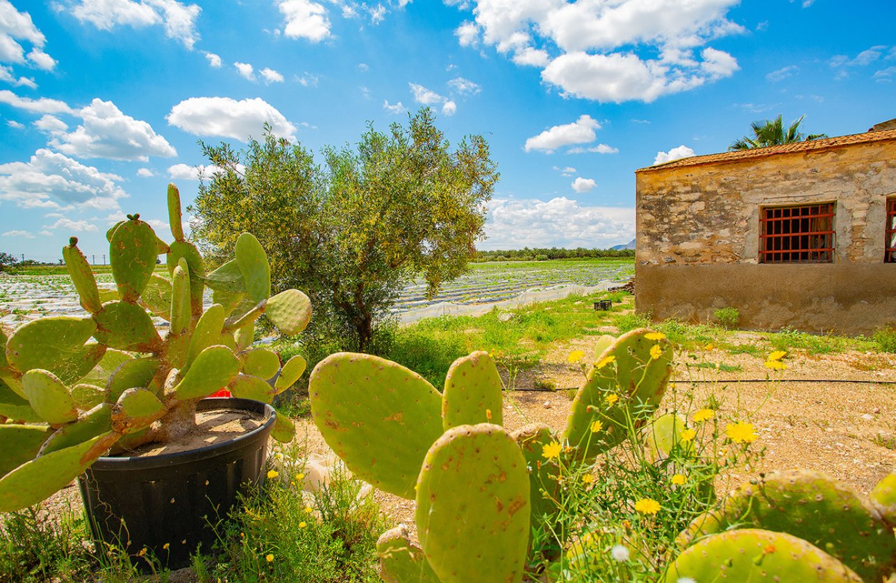 Reventa - country house -
San Isidro - San Isidro Centro