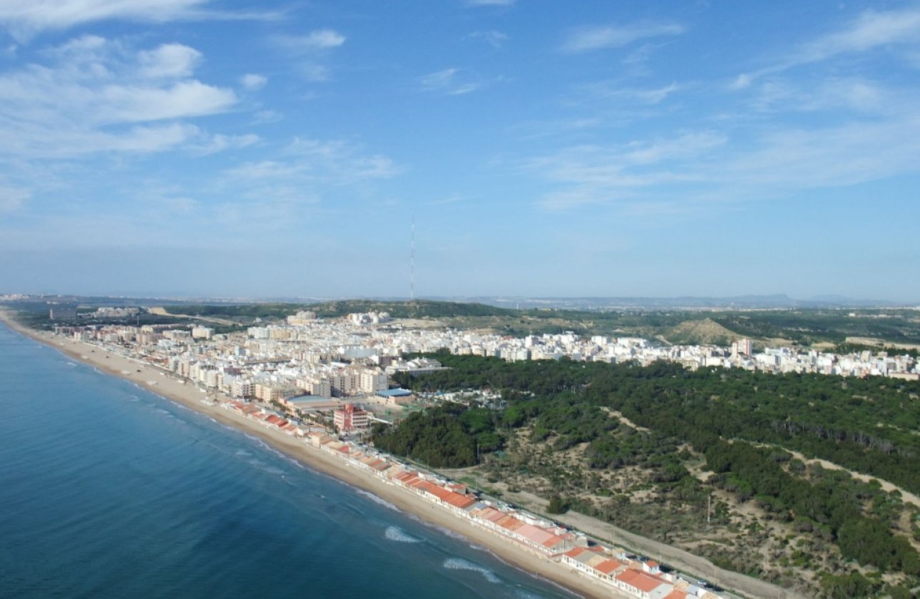 Reventa - land -
Algorfa - Algorfa Centro