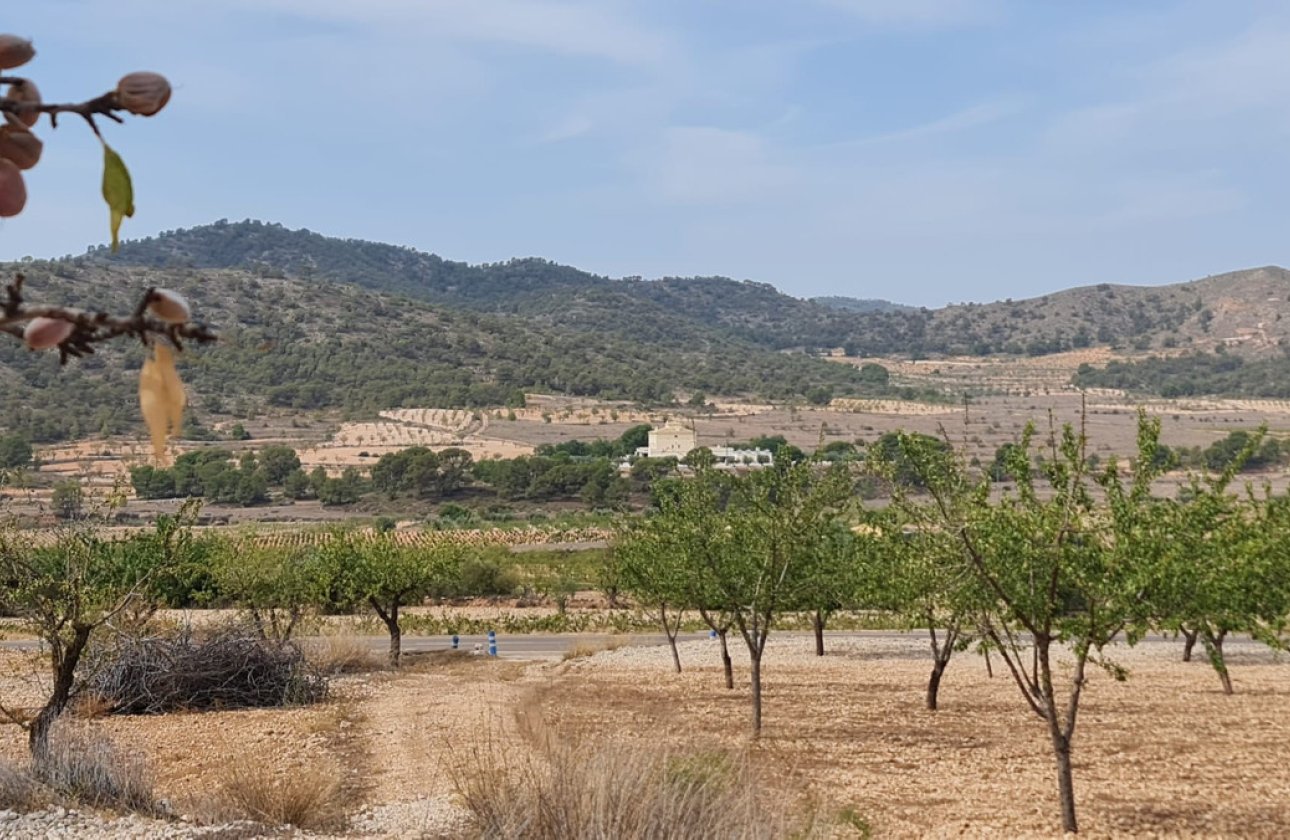 Reventa - land -
Algueña