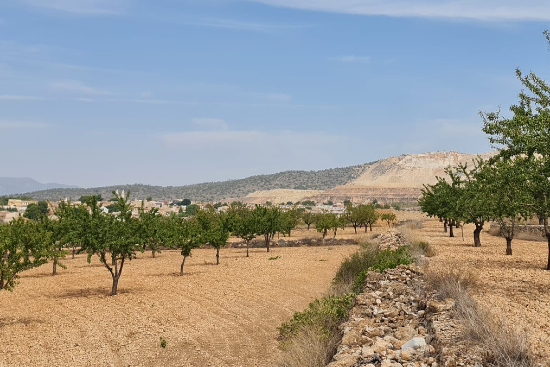 Reventa - land -
Algueña