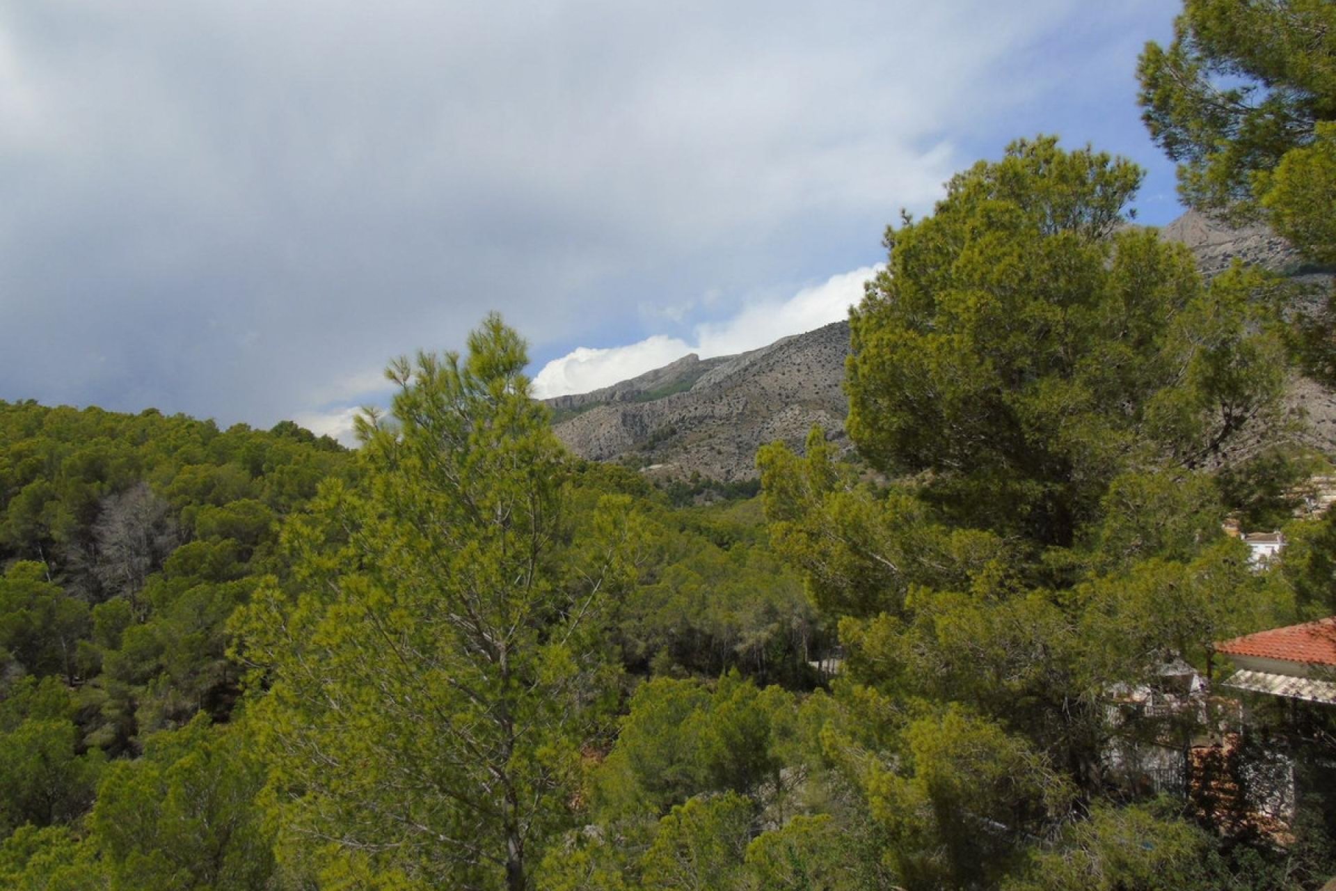 Reventa - land -
Altea - Altea Centro